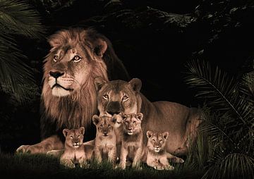 famille de lions avec 4 lionceaux