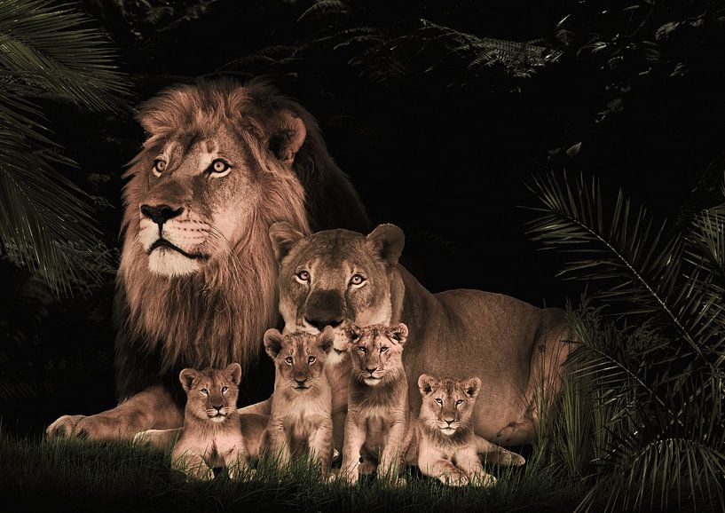 lion family with 4 cubs by Bert Hooijer