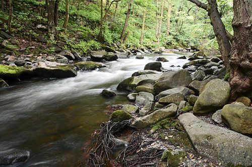 De rivier de Bode bij Thale in het Harzgebergte