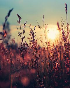 Goldene Stunde