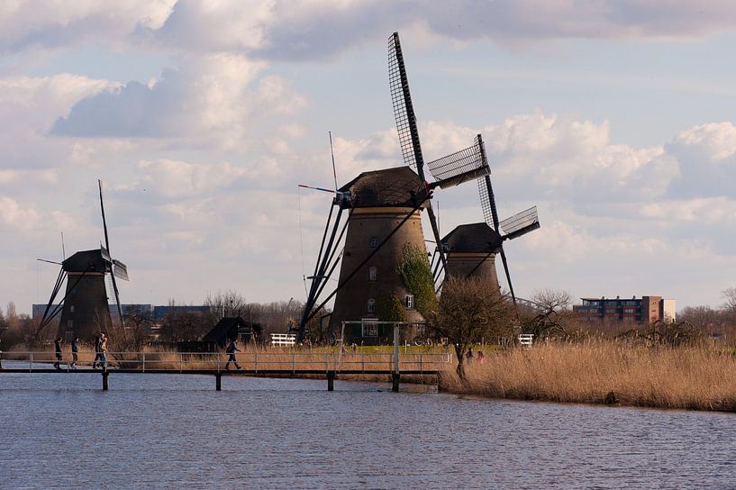 Windmills van Brian Morgan