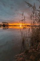 Sunrise at the creek