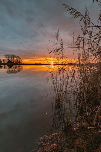 Sunrise at the creek