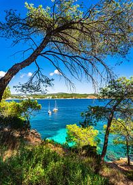 Majorca island, view of beautiful bay at coast of Cala Fornells by Alex Winter
