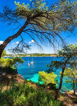 Mallorca eiland, uitzicht op mooie baai aan de kust van Cala Fornells van Alex Winter