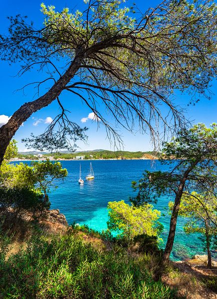 Majorca island, view of beautiful bay at coast of Cala Fornells by Alex Winter