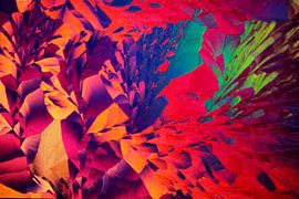 Hydrochinon by André Wieringa