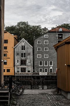 Het oude stadscentrum van Trondheim, Bakklandet van Koen Lipman