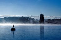 Fluss im Nebel von Wim Heirbaut Miniaturansicht