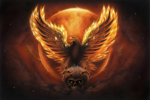 Aigle de Phénix