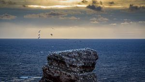 Zonsondergang Helgoland Duitsland von Randy van Domselaar