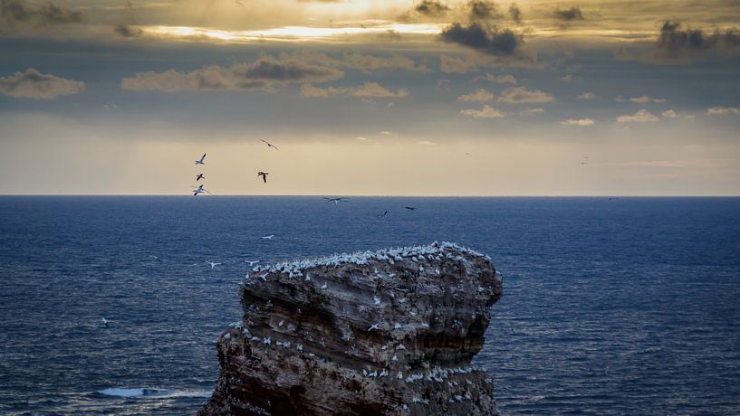 Zonsondergang Helgoland Duitsland von Randy van Domselaar