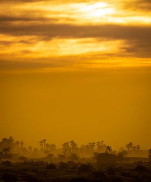 Zandstorm over palmbomen van VIDEOMUNDUM