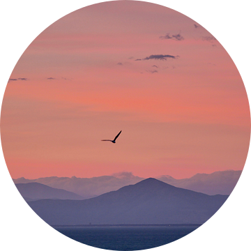 Kleurrijke zonsondergang met vogel van Judith van Wijk