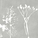 Monotype or monoprint van gras en tak in lichtgrijs. Botanische illustratie in vintage stijl. van Dina Dankers thumbnail