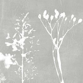 Monotype of  grass and branch in pale grey. Botanical illustration in vintage style. by Dina Dankers