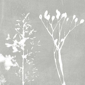 Monotype or monoprint van gras en tak in lichtgrijs. Botanische illustratie in vintage stijl. van Dina Dankers