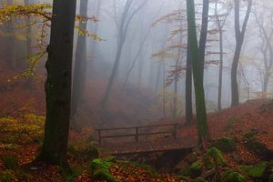 Herfst in het Mullerthal in Luxemburg