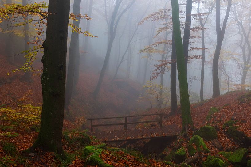 Herbst in der Region Mullerthal in Luxemburg von Paul Begijn