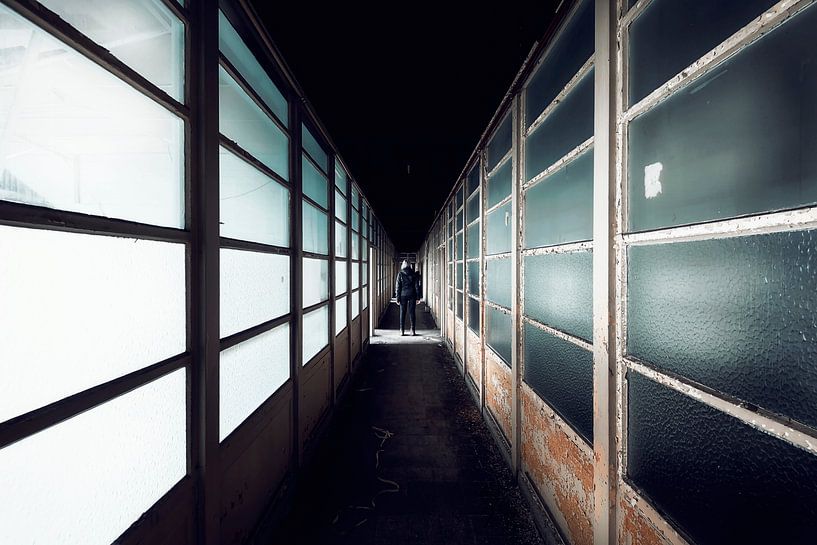 Lignes directrices par Valerie Leroy Photography