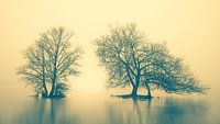 Tranquility by Halma Fotografie thumbnail