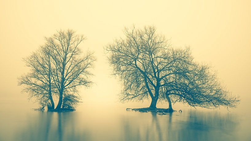 Tranquility by Halma Fotografie