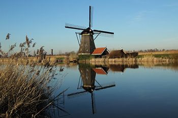 Molen in kinderdijk