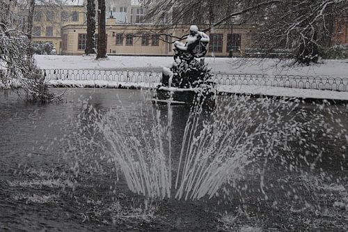 Winterse Beeldfontein