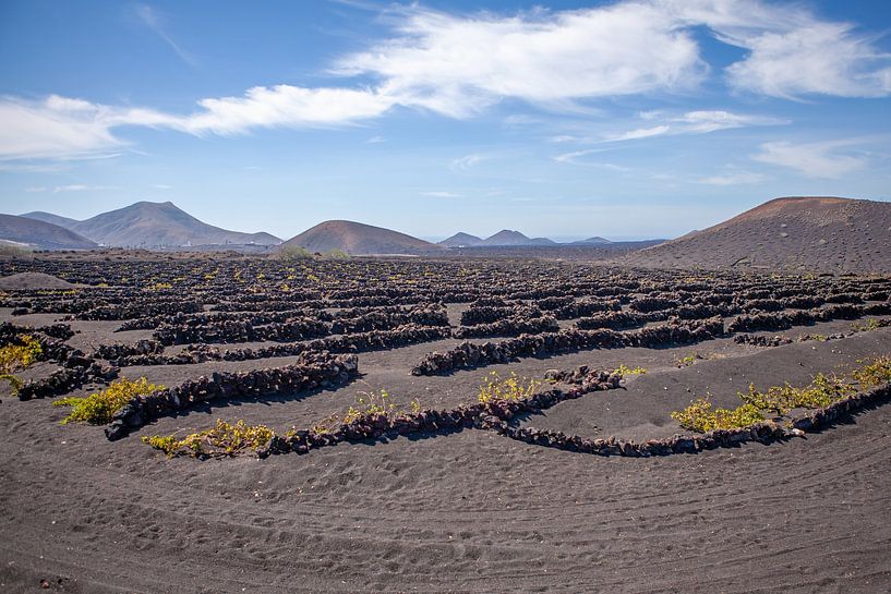 Lava veld op Lanzarote van t.ART