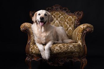 The queen on her throne