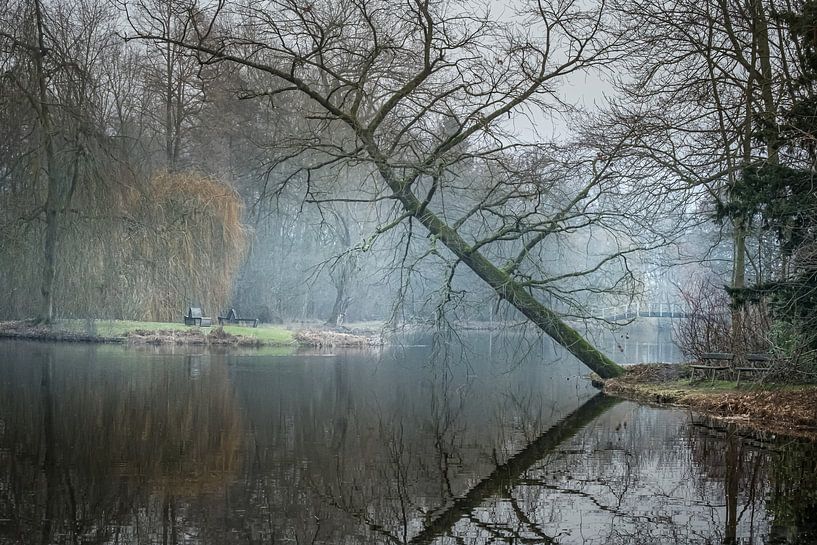 Morgennebel von Els F.