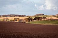 Baneheide by Rob Boon thumbnail