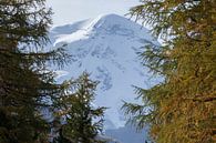 Zermatt : Breithorn von Torsten Krüger Miniaturansicht