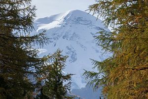 Zermatt : Breithorn