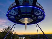 Biggeblick van onderen van Henrys-Photography thumbnail