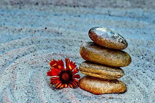 Pierres dans le sable