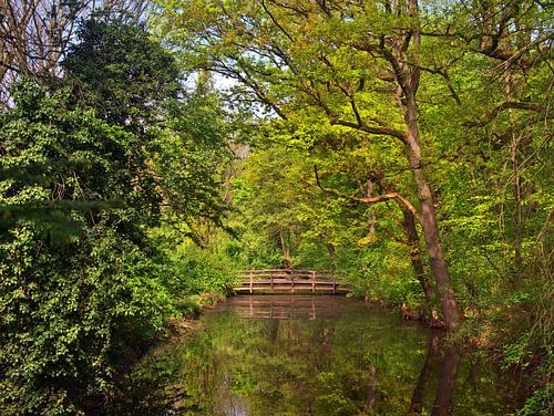 Waterlandschap