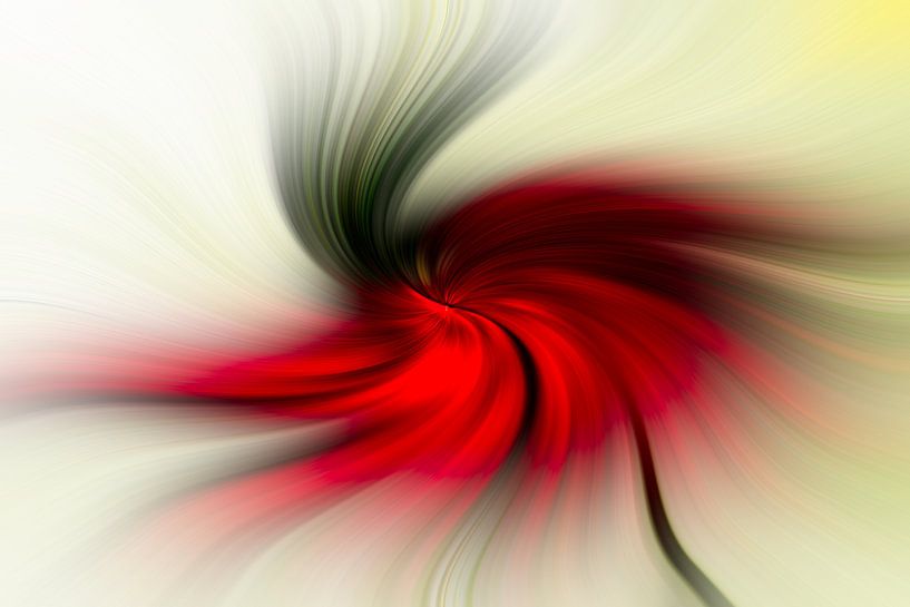 Dancing Poppy by Kati van Helden