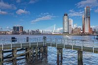 Erasmusbrug Rotterdam