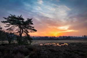 Sunrise with picturesque sky.