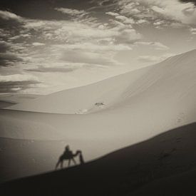 Sahara  von Paul Piebinga
