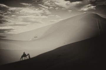 Sahara  sur Paul Piebinga