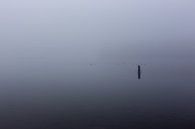 Ultieme leegte door mist over de Rijkerswoerdse Plassen van Robert Wiggers thumbnail