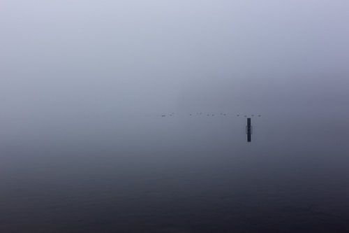 Ultieme leegte door mist over de Rijkerswoerdse Plassen