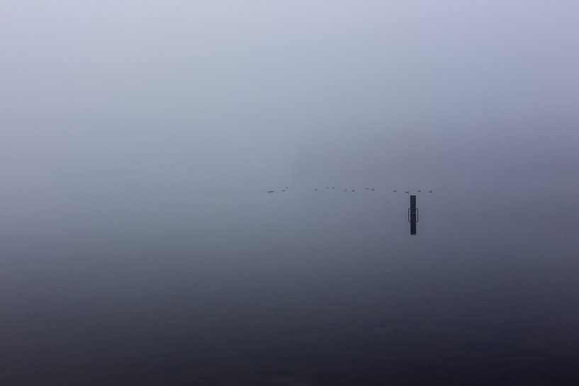 Ultieme leegte door mist over de Rijkerswoerdse Plassen van Robert Wiggers