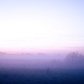 Misty Morning by Nicole Schyns