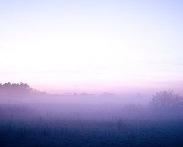Paarse Ochtend - mistig, zonsopgang, grasveld, hemel van Nicole Schyns