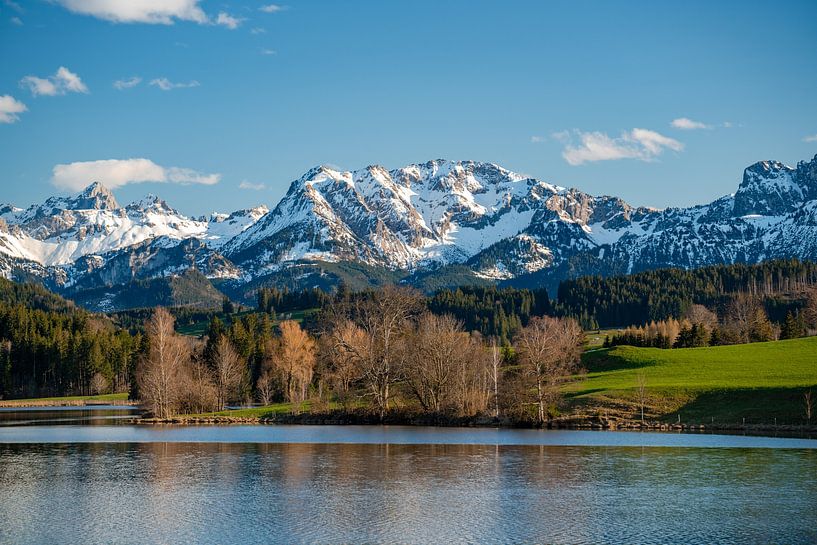 a sweeping view over the Schwaltenweiher to the Allgäu mountains by Leo Schindzielorz