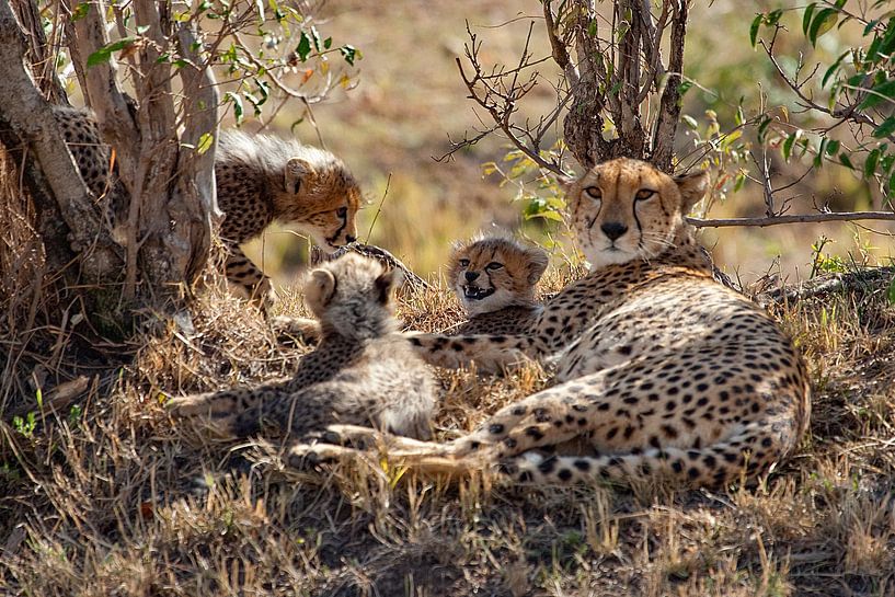 lunchpauze van Peter Michel