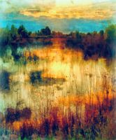 Reflets sur le lac
